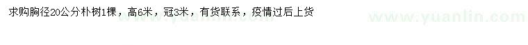 求購(gòu)胸徑20公分樸樹(shù)