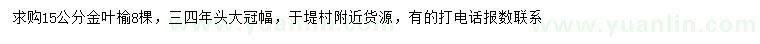 求購15公分金葉榆