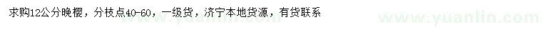 求購(gòu)12公分晚櫻