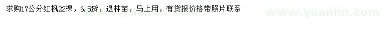 求購17公分紅楓