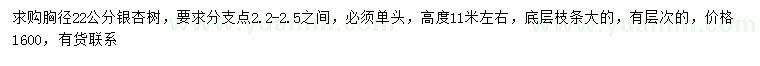 求購(gòu)胸徑22公分銀杏樹(shù)