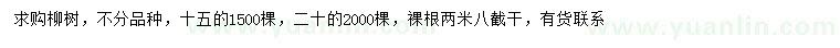 求購15、20公分柳樹