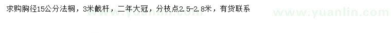 求購胸徑15公分法桐