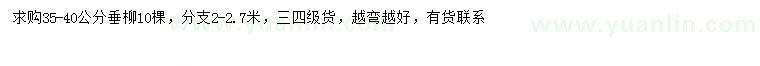 求購35-40公分垂柳