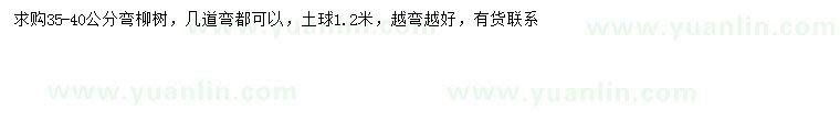 求購35-40公分柳樹