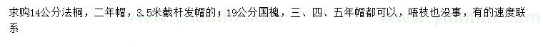 求購14公分法桐、19公分國槐