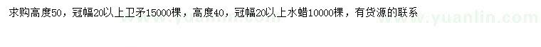 求購冠幅20公分以上衛(wèi)矛、水蠟