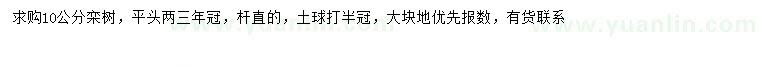 求購10公分欒樹