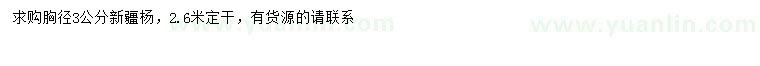 求購胸徑3公分新疆楊