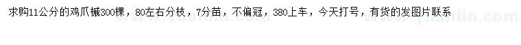 求購11公分雞爪槭