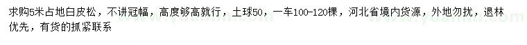 求購5米白皮松
