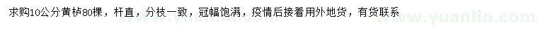 求購10公分黃櫨