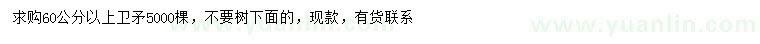 求購(gòu)60公分以上衛(wèi)矛