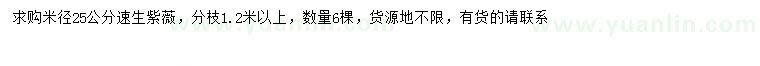 求購米徑25公分速生紫薇