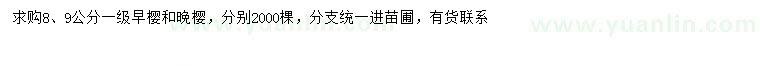 求購(gòu)8、9公分早櫻、晚櫻