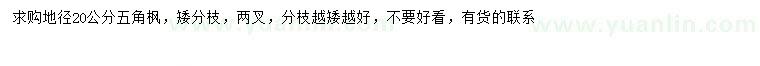 求購地徑20公分五角楓