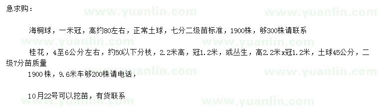 求購(gòu)冠幅1米海桐球、4-6公分桂花