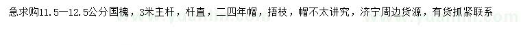 求購(gòu)11.5-12.5公分國(guó)槐