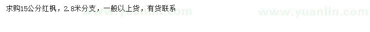 求購15公分紅楓