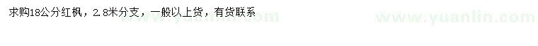 求購18公分紅楓