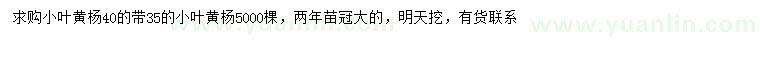 求購35、40公分小葉黃楊