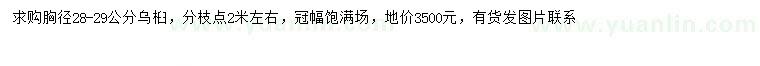 求購(gòu)胸徑28-29公分烏桕