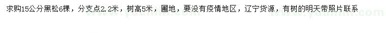 求購15公分黑松