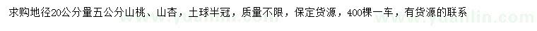 求購20量5公分山桃、山杏