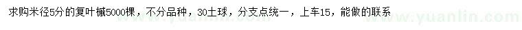 求購米徑5公分復(fù)葉槭