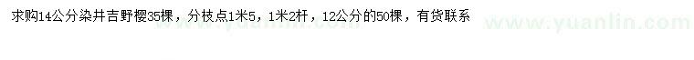 求購12、14公分染井吉野櫻