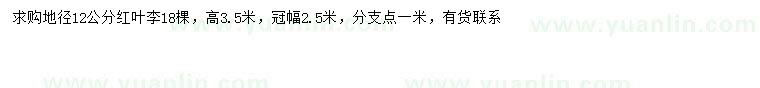 求購地徑12公分紅葉李