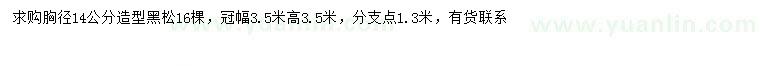 求購胸徑14公分造型黑松