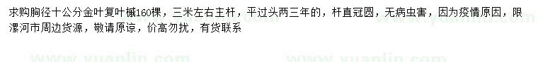 求購胸徑10公分金葉復(fù)葉槭