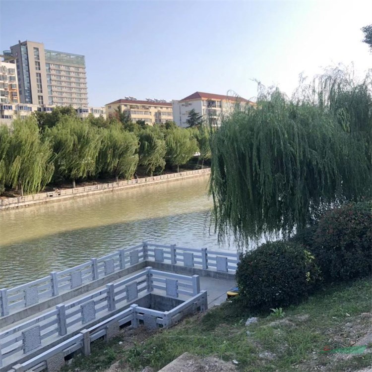 河边水旁多植抗旱耐涝的垂柳 金叶连翘观赏性好