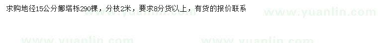 求購(gòu)地徑15公分娜塔櫟