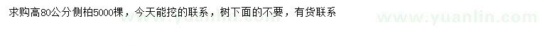 求購高80公分側(cè)柏