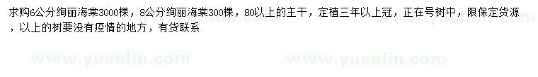 求購6、8公分絢麗海棠