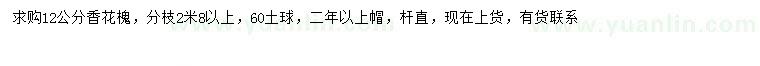 求購12公分香花槐