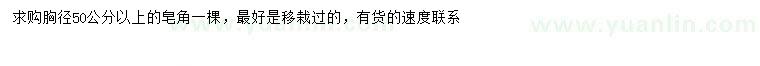 求購胸徑50公分以上皂角