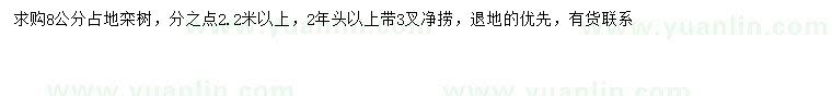求購8公分欒樹