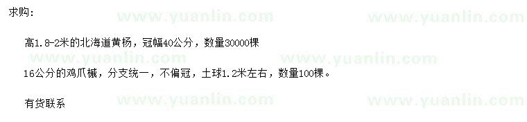 求購(gòu)高1.8-2米北海道黃楊、16公分雞爪槭