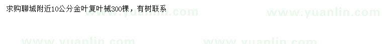 求購(gòu)10公分金葉復(fù)葉槭