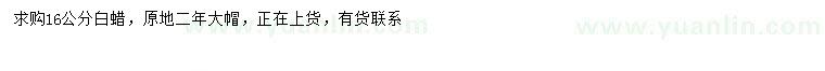 求購16公分白蠟