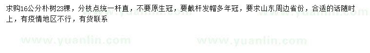 求購16公分樸樹