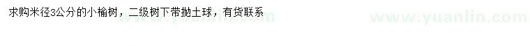 求購米徑3公分榆樹