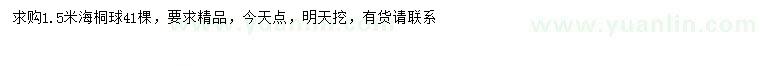 求購1.5米海桐球