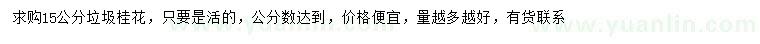 求購(gòu)15公分桂花