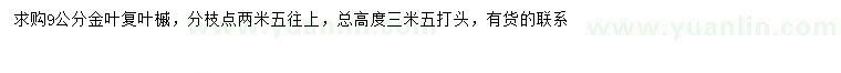 求購(gòu)9公分金葉復(fù)葉槭