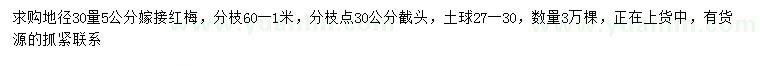 求購30量5公分紅梅