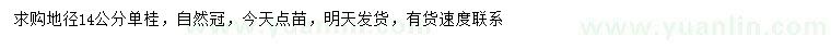 求購地徑14公分單桂